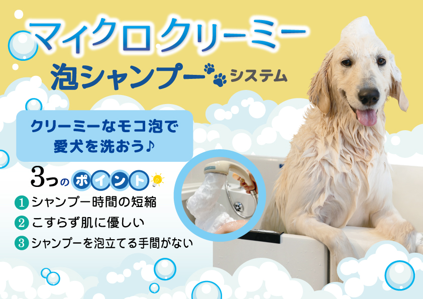 マイクロクリーミー泡シャンプーの説明