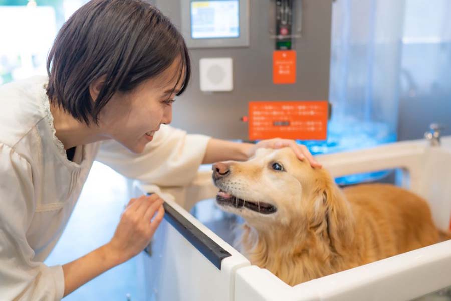 wan-wan-spaでお風呂に入る犬